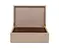 Pinetti Tea Box Organizer