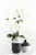 FiammettaV Three Parts Vase C