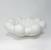 101 Copenhagen Bloom Tray, Big - Bone White